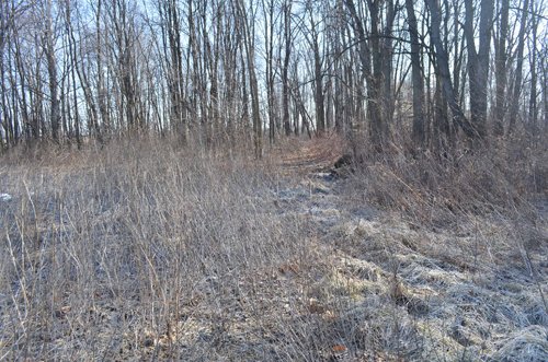 Property photo 41 - East Allen County - 55 Acre Land Auction